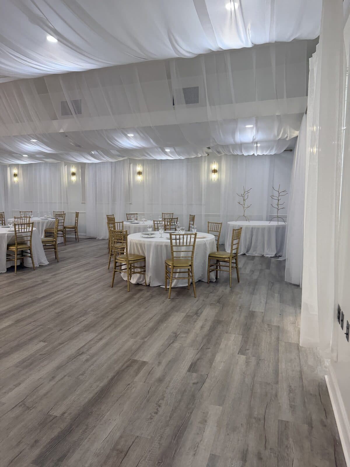 Gold Chiavari chairs and linen-draped tables under sheer ceiling draping